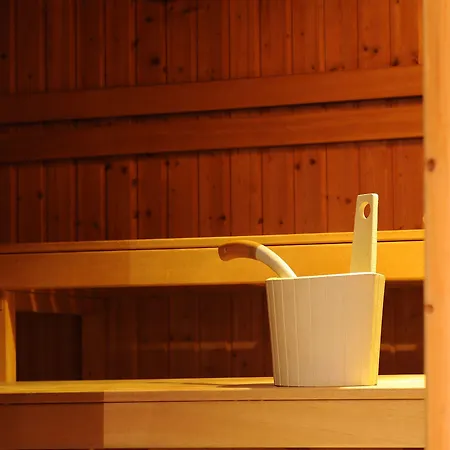 酒店 Adler Post 施韦青根