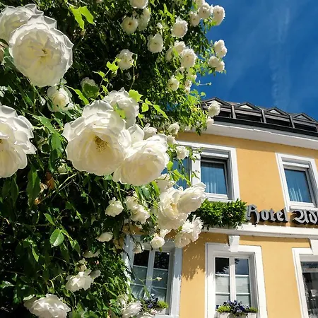 Hotel Adler Post 3* Schwetzingen